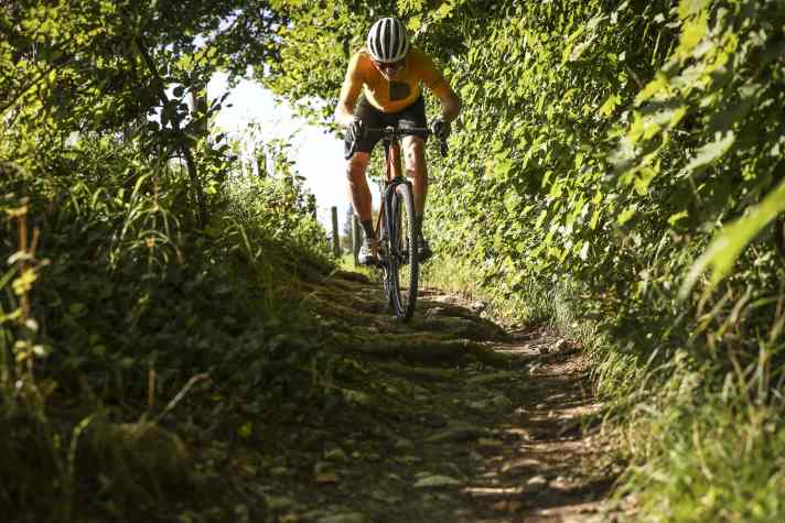Not exactly gravel bike terrain? Maybe. But if the tour planner includes a root path, gravel bikers with the Propain terrel CF Trail will have to push less.