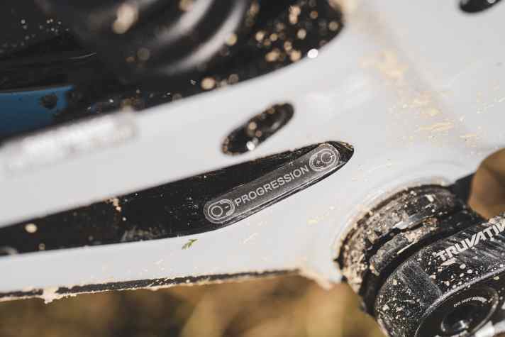 Neu: Per Flipchip lässt sich die Kinematik progressiver und linearer einstellen (hier progressiv). Die Kettenstreben fuhren wir im Gegensatz zu Racer Danny Hart in der kurzen Einstellung, das macht das Bike zur Manual-Rakete.