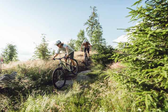 Der flacherer Lenkwinkel von 65 ° verspricht größere Laufruhe, wenn es mal ruppig wird.