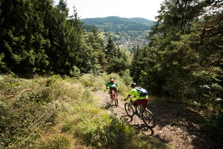 As a mountain biker, you don't have to climb the Brocken. The most beautiful trails can be found on the outskirts of the Harz Mountains.