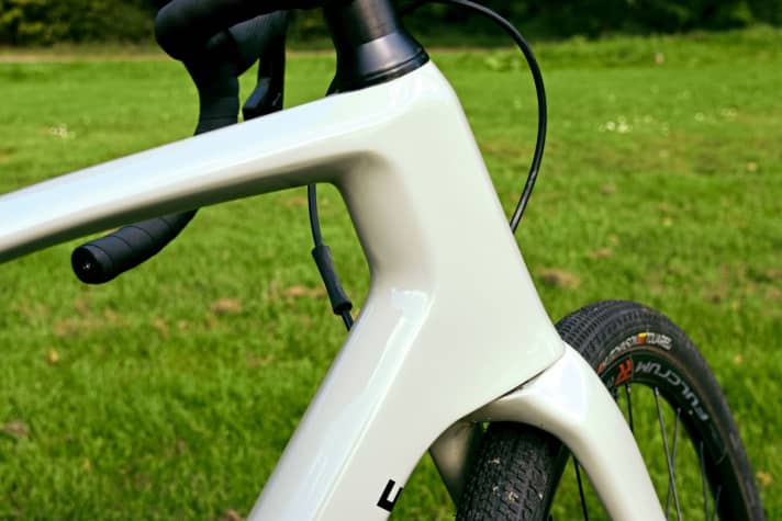 Fließende Formen, top Lack, wenig Ösen und Gewinde: Rad und Rahmenset sind ganz klar auf Sport ausgelegt, da aber Spaßgaranten.