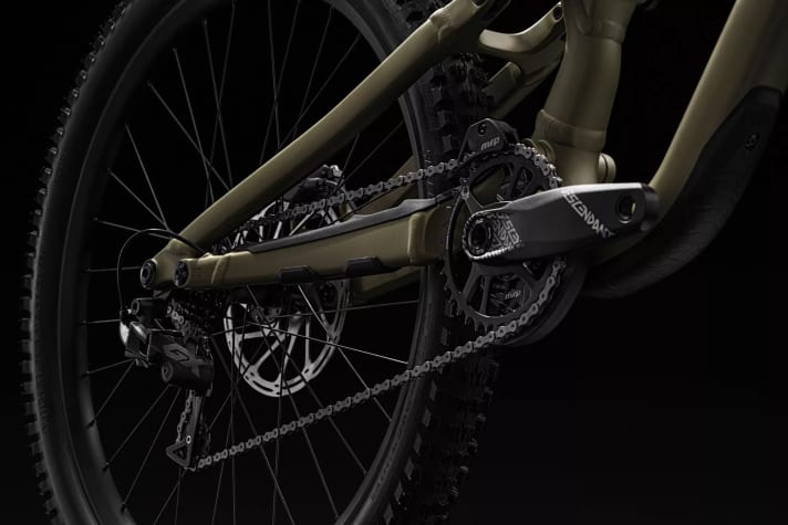 Customisation: The Specialized Status 170 2 DH has flip chips on the Horst pivot link in front of the rear axle. This allows the geometry to be customised for specific terrain.