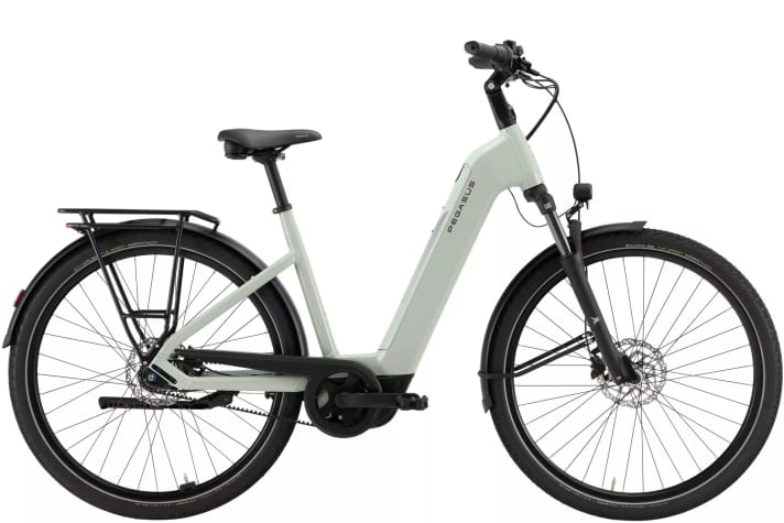 Pegasus Solero EVO 7F Belt