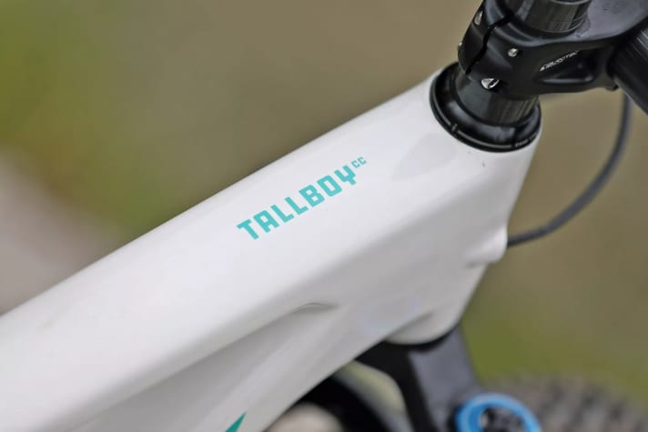 With six different frame sizes, Santa Cruz not only offers a wide range of models.