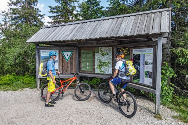 Legalise it: Mountain bikers can also feel welcome in the Black Forest National Park.