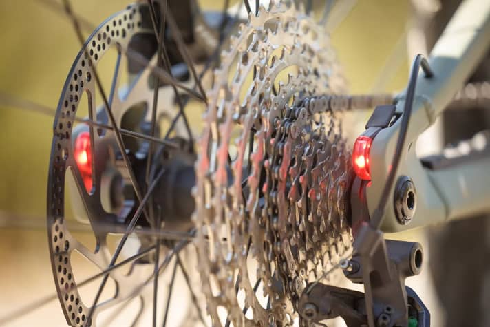 The MonkeyLink Twinlights are hidden inconspicuously in the dropouts.