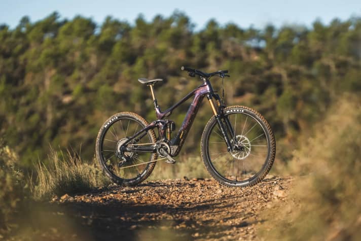 Ein Grund für die im Mittel gestiegenen Preise für Mountainbikes: Die Attraktivität und Verbreitung von EMTBs, wie dem Giant Trance X E+ Elite 0 für 12.999 Euro.