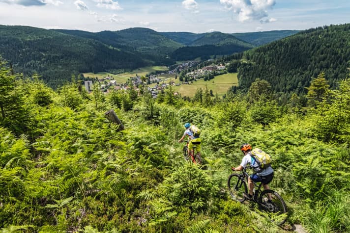 Farnverkehr à la Baiersbronn – die Singletrails rund um das Fein­schmeckerdorf sind lecker. Und leicht verdaulich.