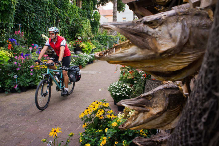 The Havel, as well as the numerous lakes in the region, are very rich in fish. The Havel pikeperch, pike and eel are served in every conceivable variation in the region's fish restaurants.