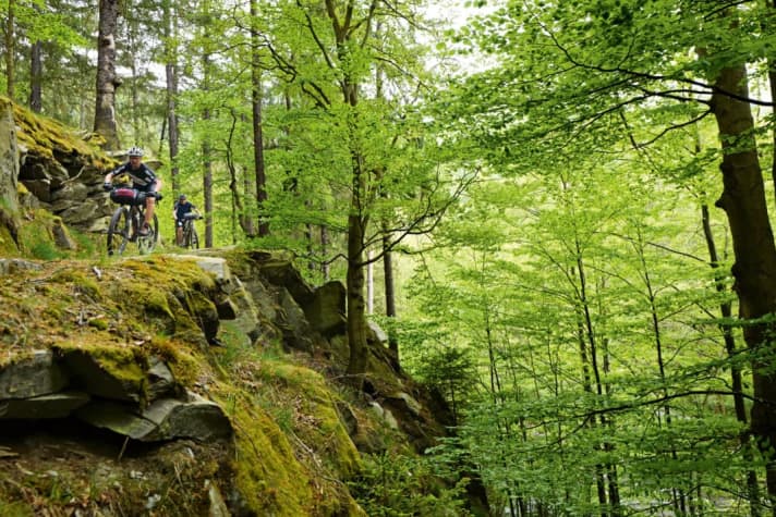 Der Wald darf weiter befahren werden - doch auch in Zukunft hat die DIMB viele Aufgaben vor sich, um Mountainbikern auch weiterhin eine Fahrt durchs Grüne zu ermöglichen.