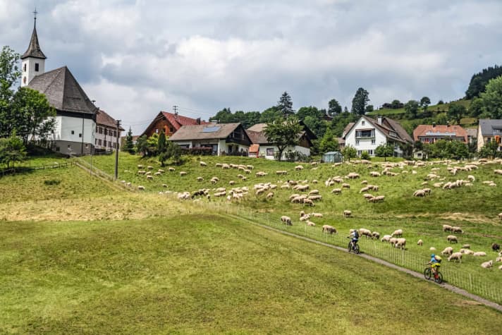 „Wer durch Schwaben reist, der sollte nie vergessen, auch ein wenig in den Schwarzwald hineinzuschauen; nicht der Bäume wegen, sondern wegen der Leute.“ Der erste Satz aus Wilhelm Hauffs „Das kalte Herz“. Geschrieben hat er es in Schwarzenberg.