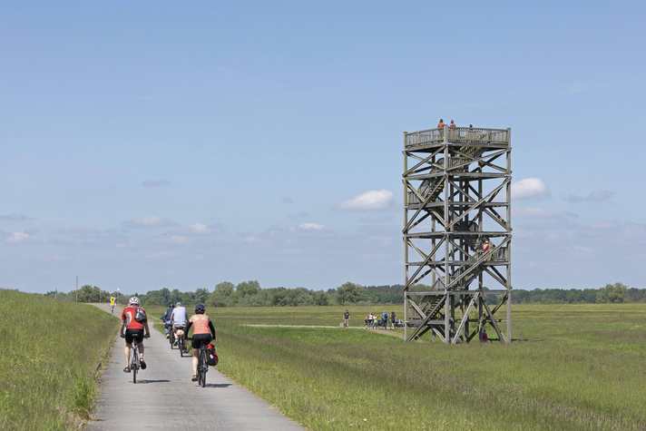 The flat cycle route of around 50 kilometres leads right through the Alte Land and is also easy for families to manage.