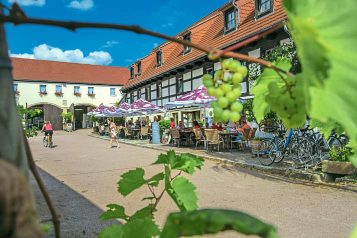 Einkehr-Tipp im Dresdner Elbland: Weingut Schuh in Sörnewitz