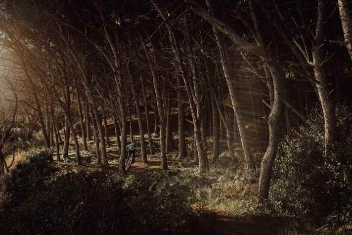 Klausner in the fairytale forest.