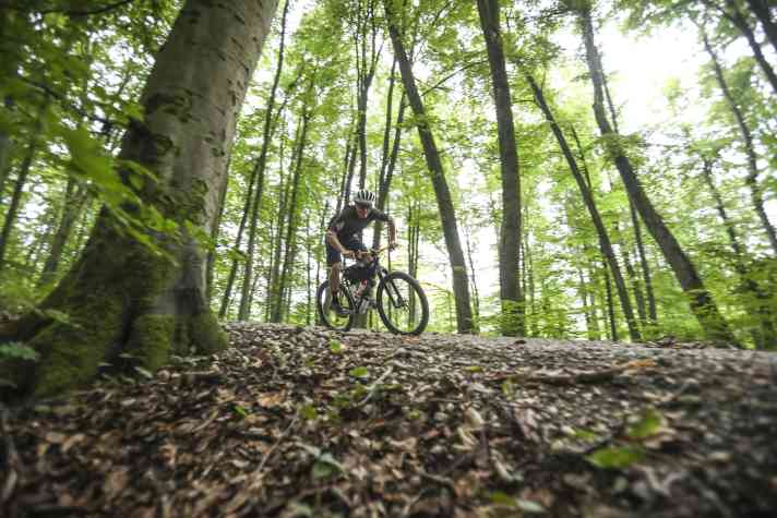 Singlespeed-Biken braucht Dynamik. Je länger der Tag, desto geringer die Verve. Hier in den Auwäldern am Isarufer scheint die Zeit zu stehen.