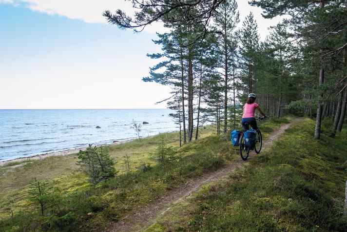 Kilometerbreite Kiefernwälder voller Blaubeeren und Pilze säumen die Küste.
