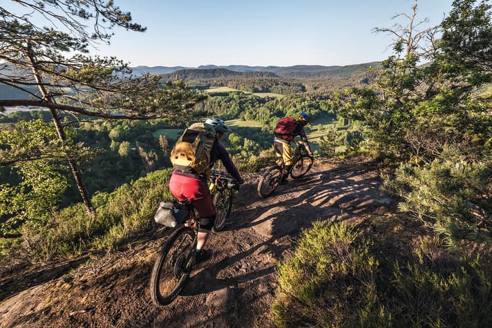 The Palatinate Forest: You can easily spend two days immersed in Germany's largest contiguous forest.