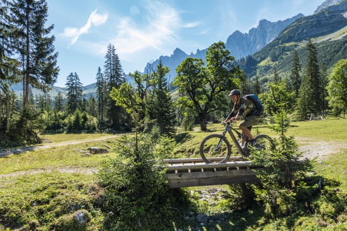 The old trees in the Kleiner Ahornboden are true natural monuments.
