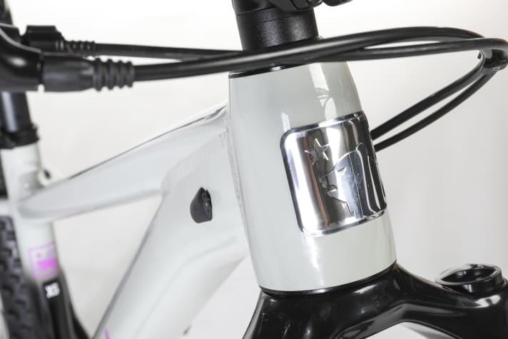 Auch Kinder freuen sich an einem Mountainbike über schöne Details, wie diesem Steuerrohrlogo am <a href="https://tnkdbf.tradeinn.com/ts/i5534689/tsc?typ=r&amc=con.blbn.497955.507800.14119779&smc=BIKE&rmd=3&trg=https%3A%2F%2Fwww.tradeinn.com%2Fbikeinn%2Fde%2Fmarin-san-quentin-24-x-fahrrad%2F140650899%2Fp" target="_blank" rel="noopener noreferrer nofollow">Marin San Quentin 24*. </a>