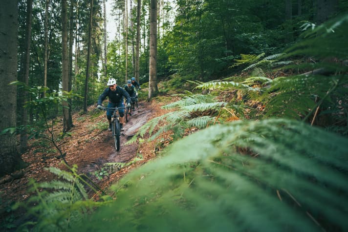"We don't want to drive mountain bikers or horse riders out of the forest," says Birte Cordts. "Our aim was to address illegal MTB trails off the beaten track," says Cordts.