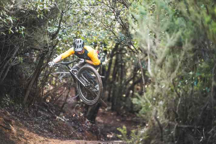 Precise handling and high traction. Experts ride the Fuel EXe downhill almost like an enduro bike. However, you can no longer afford to make many riding mistakes.