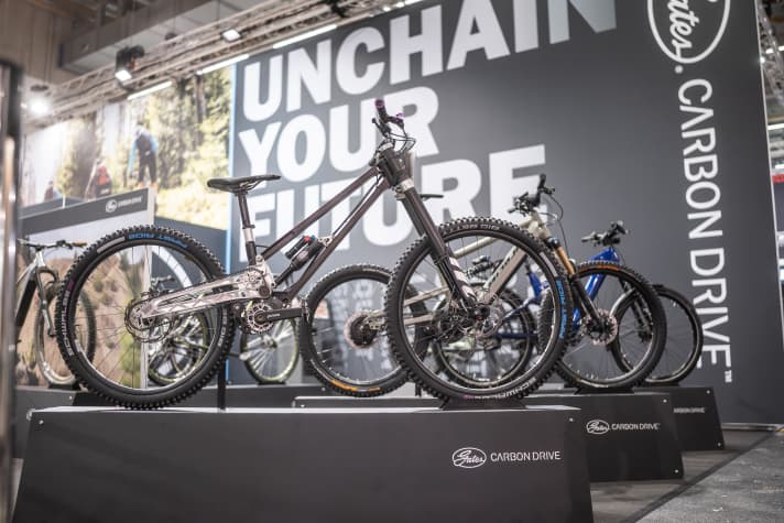 The Swiss are considered a reserved people - and the look of the Gamux Sego downhill prototype doesn't quite fit in with this.