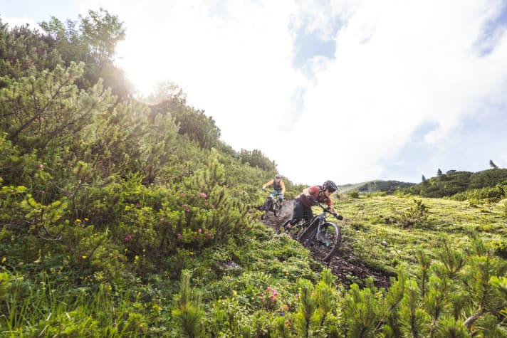 Zielstrebig über gemäßigte Trails schießen - das ist bergab die Stärke des laufruhigen Render AL 8.0.