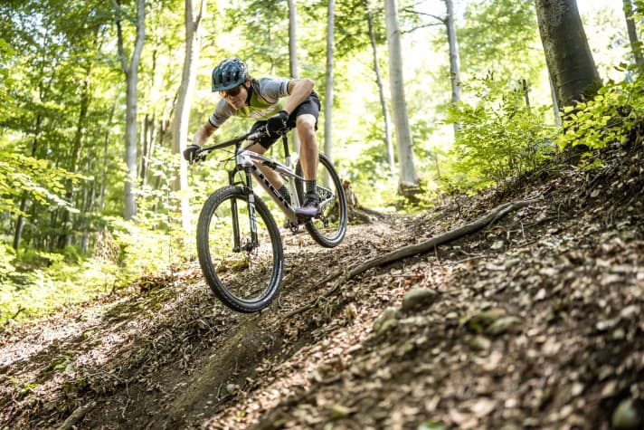 The new Trek Supercaliber has clearly gained in downhill potential. In practice, only equipment details and your own courage slow it down.