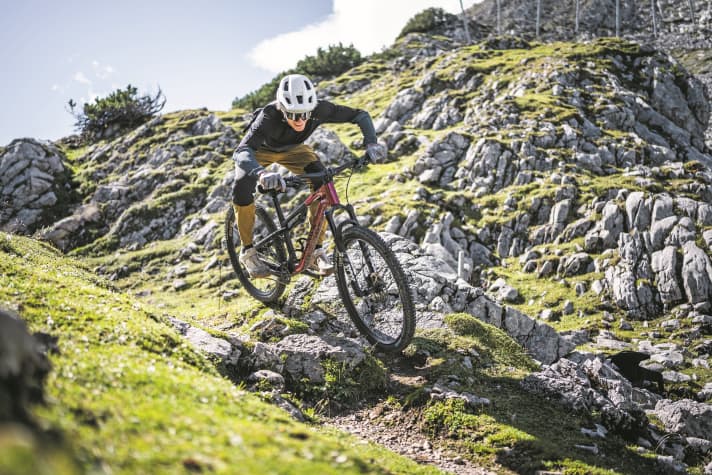 Many points and low purchase costs place the Canyon Neuron CF 8.0 at the top of our price-performance comparison. But other manufacturers also offer a lot for the money.