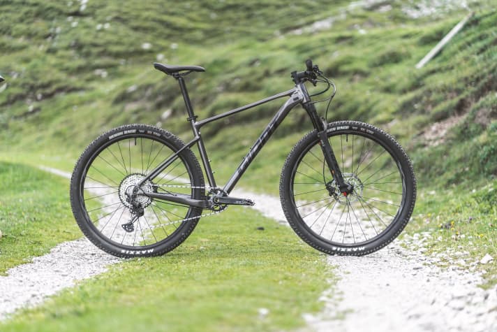 For hardtails without pannier rack mounts, Giant grants approval for riders and equipment weighing over 138 kilos.