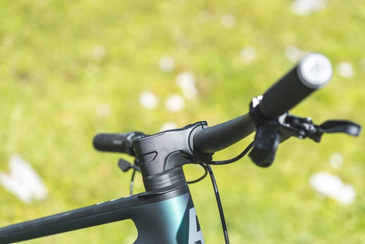 Das Cockpit des Rose PDQ 2 fällt flach und breit aus.