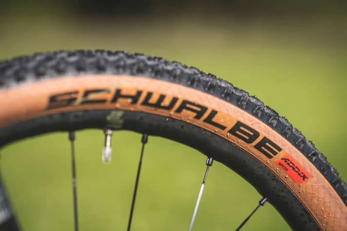 Die 2,25 Zoll schmalen Schwalbe Reifen des Conway RLC erfordern eine sichere Fahrtechnik - sowohl auf dem Trail als auch auf schnellen Schotterabfahrten.