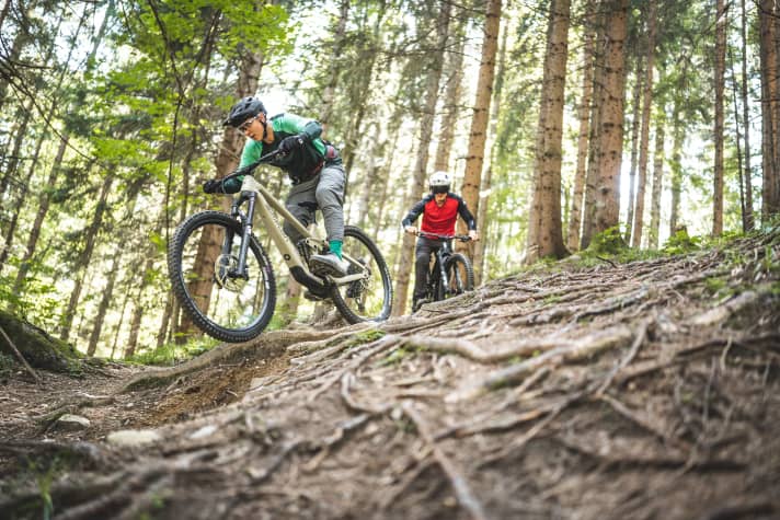 Whizzing silently over root fields with only the sound of the tyres in your ears - it's possible with the Simplon Rapcon TQ!