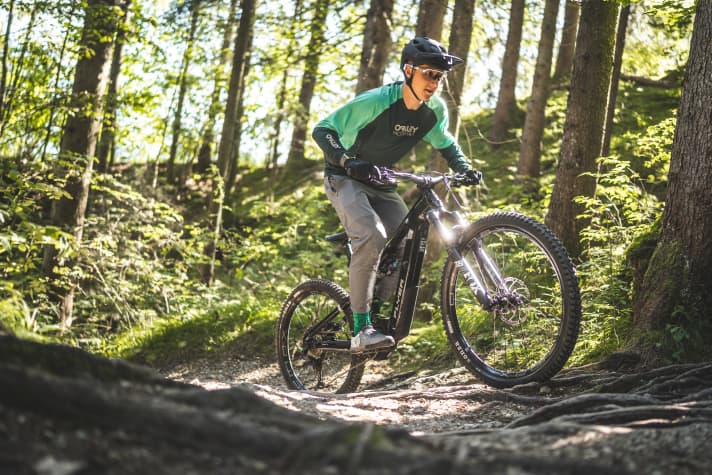 Flying up difficult climbs effortlessly? That's the job of E-MTBs with powerful motors.