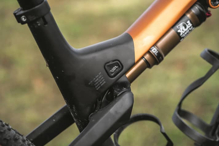 Canyon skilfully hides almost all the bolts on the rear triangle of the new full-suspension bike for a tidy look.
