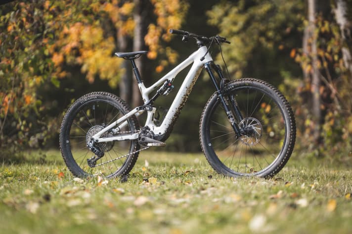 Specialized Levo SL Expert // 160/150 mm // 29/27.5 inches // 18.2 kg // 9900 euros