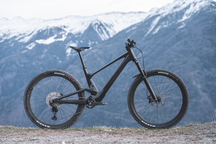 Scott Genius 920: 14.9 kg / 160/150 mm / 29" / 4799 Euro / carbon/aluminium