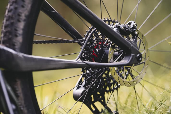 Der Flex-Pivot in der Carbon-Kettenstrebe spart Gewicht - obwohl der Rahmen des neuen Cannondale nicht auffallend leicht ist. Für das Fahrwerk funktioniert der Verzicht auf ein zusätzliches Lager jedenfalls super.