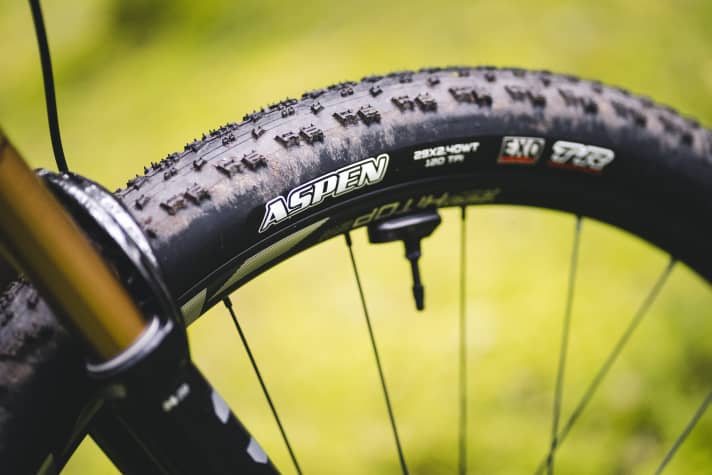 Auch in 2,4 Zoll Breite geizen die Maxxis Aspen Reifen am Liv Pique Advanced o mit Grip. Im Schlamm kommen die Gummis sehr früh ans Limit.