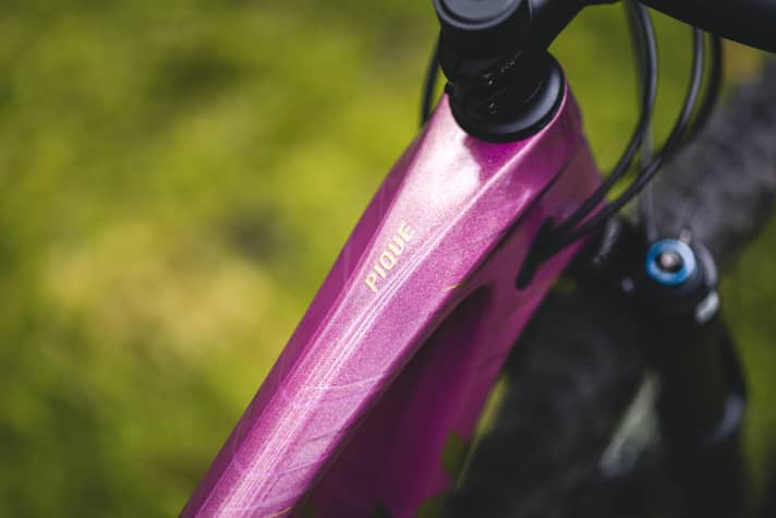 Barbie dream or serious racing machine? We weren't quite sure about the paintwork of the expensive Liv Pique Advanced 0.