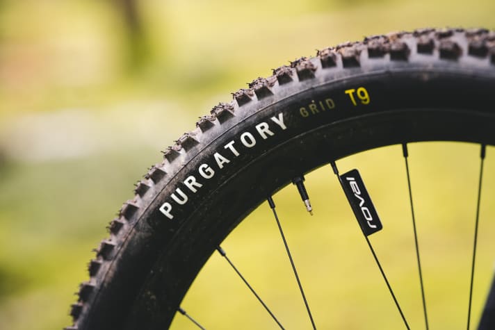 Der Specialized Purgatory leistet am Epic Evo Trailbike eine ausgezeichnete Führungsarbeit.