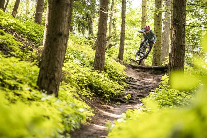 Um mit dem Root Miller über steinige Trails zu poltern, braucht es ein versiertes Handling, denn das Bike gibt viel Feedback vom Untergrund an den Fahrer weiter.