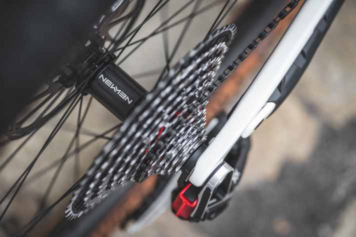 Auch das Cube Stereo One22 C:62 setzt auf ein Sram UDH Schaltauge. Die Laufräder kommen von Newmen.