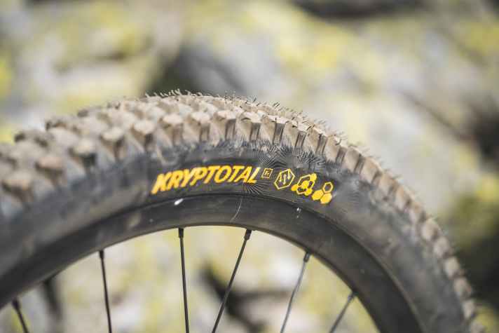 Die Continental Kryptotal Reifen sind in der weichen Gummimischung ein echtes Grip-Wunder. Hinten gibt’s am Freeride-Bike von Propian sogar den fetten Downhill-Pannenschutz.