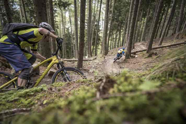 After high alpine, rocky, rocky and rooty, the Schartl Trail branches off into the flowing forest bends of the Holy Hansen.