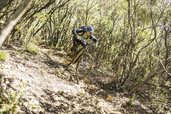 Sporty riding style on rougher trails? The Neuron:On CF can. But its specialities are different!