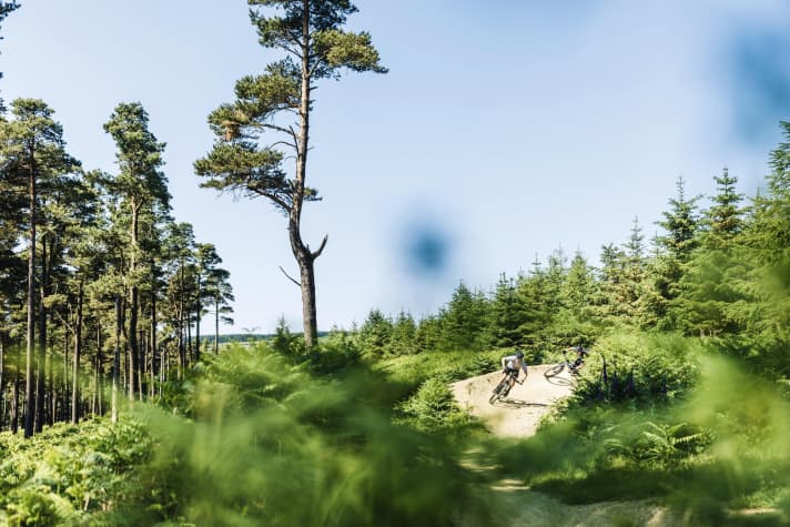 Gelungene Mischung: Natürliche Trail-Segmente wechseln sich im Trailcenter Ballinastoe mit geshapten Features ab.