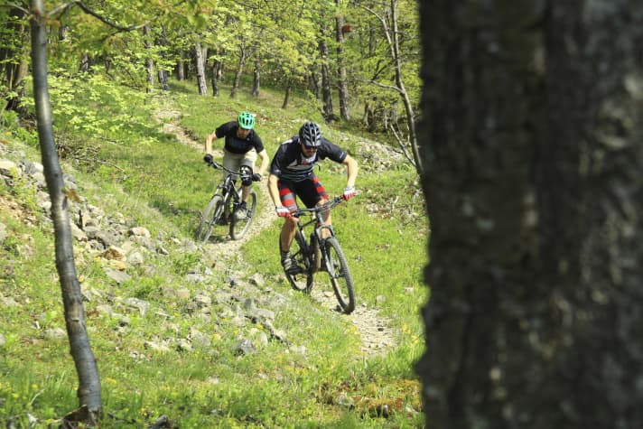 Der M-Weg: Im Norden der Stadt kurven die besten Trails durch den Wald.