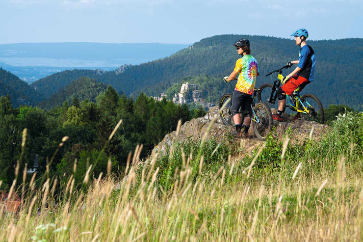 Der Blick vom Johannisstein übers Felsental von Oybin.
