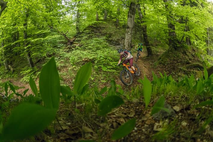 An Wochenenden ist der Nutzungsdruck auf den Münchner Isar-Trails besonders groß. Dann tummeln sich hier auch Trailrunner, Wanderer und Hundebesitzer.